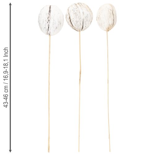 Artikel Mintollaboll på pinnmix vitkalkad 6 st