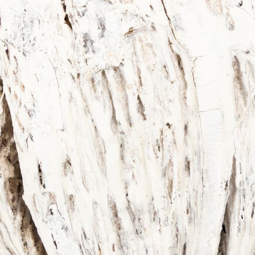 Artikel Mintollaboll på pinnmix vitkalkad 6 st