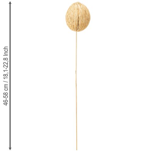 Artikel Mintollaboll blekt 8cm - 10cm L46cm 6 st