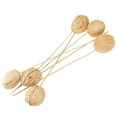 Artikel Mintollaboll blekt 8cm - 10cm L46cm 6 st