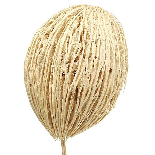 Artikel Mintolla boll blekt 8cm - 10cm L46cm 6 st