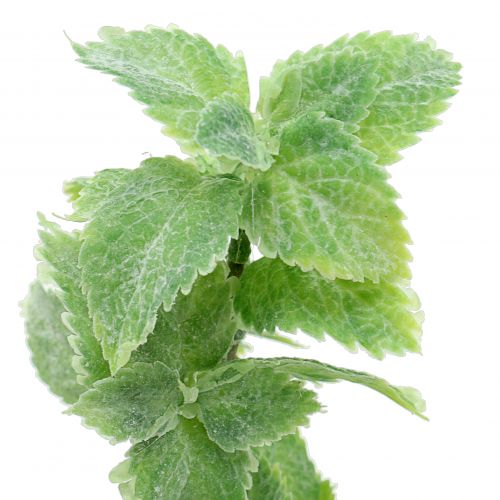 Artikel Mint konstgrön 25cm 12 st