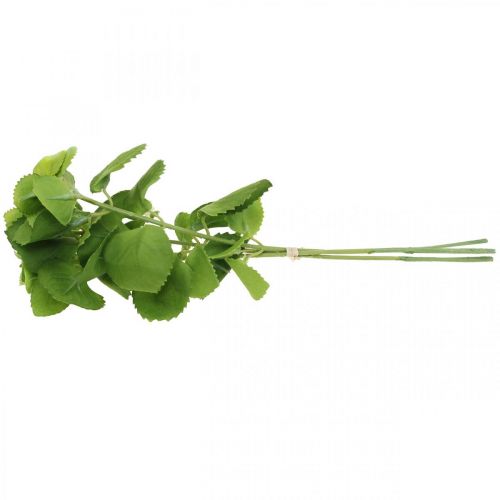 Floristik24 Konstgjord mintgrön, deco mintgrenar, sidenblomma L32cm 3st