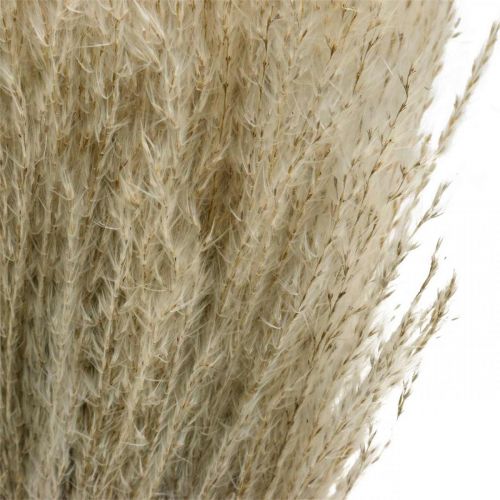 Artikel Torrt gräs Miscanthus 55-75cm fjädergräs naturell 100 st