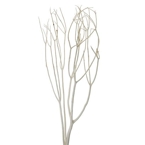 Floristik24 Mitsumata dekorativa grenar 115cm blekt 3 st
