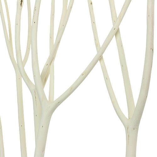 Floristik24 Mitsumata dekorativa grenar 115cm blekt 3 st