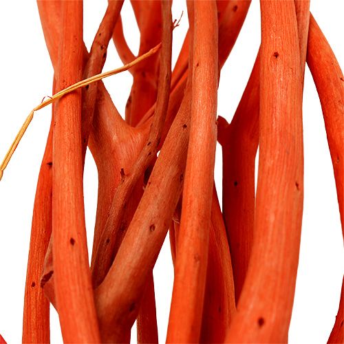 Floristik24 Mitsumata grenar orange 34-60cm 12st