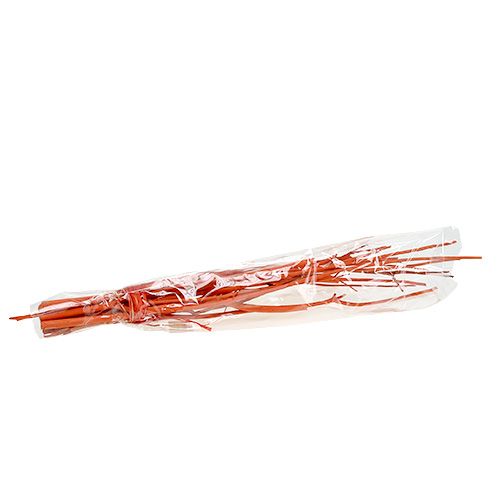 Floristik24 Mitsumata grenar orange 34-60cm 12st