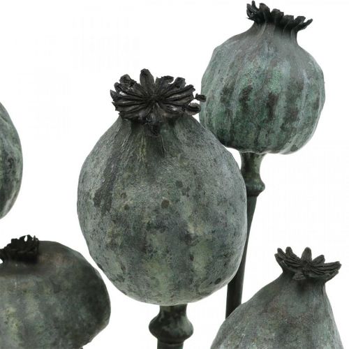 Artikel Vallmokapslar svartfärgade torrblommande vallmodekoration 50-60cm 5 st