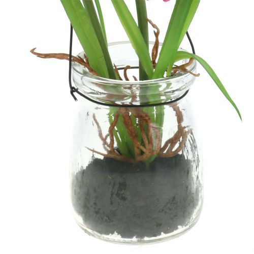 Floristik24 Vallmo i ett glas för att hänga Pink H22cm