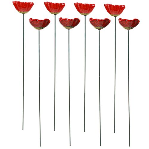 Floristik24 Vallmo keramik dekorativ blomplugg vallmoröd 5cm 8 st