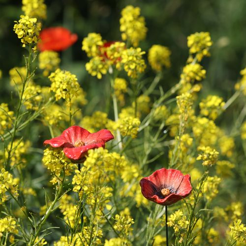 Artikel Trädgårdspåke vallmo i keramik, ovanlig design för rabatter, 52 cm, 2 stycken