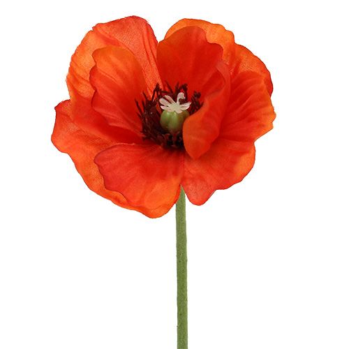 Floristik24 Vallmobukett L28cm
