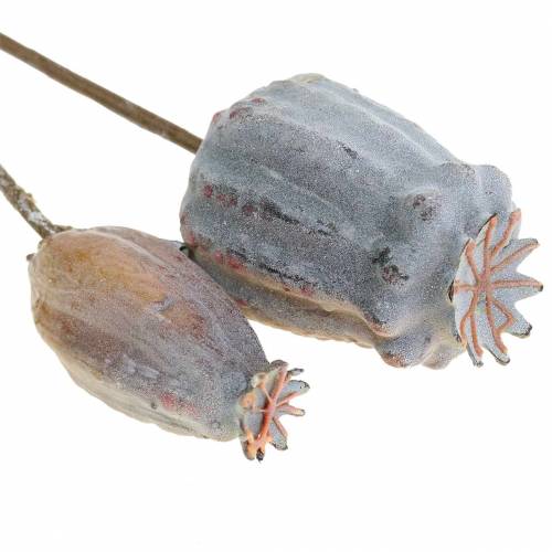 Floristik24 Konstgjorda vallmo kapslar gul, brun 6st