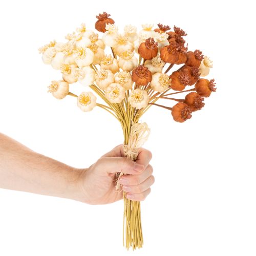 Torkade konstgjorda vallmofrökapslar, knippe med tre färger, 40 cm, 45 stycken | Floristik24.se