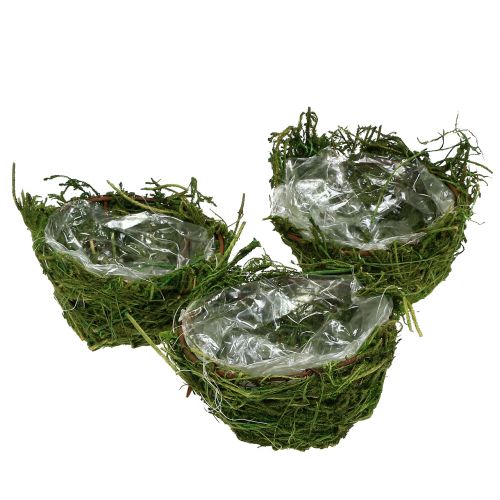 Mosskål grön Ø11cm H6,5cm - 7,5 cm 5st