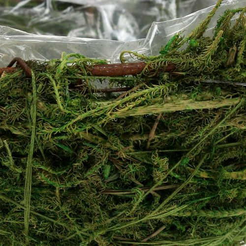 Floristik24 Mosskål grön Ø11cm H6,5cm - 7,5 cm 5st