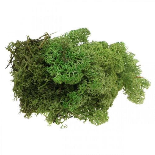 Artikel Moss Island mossgrön 400g