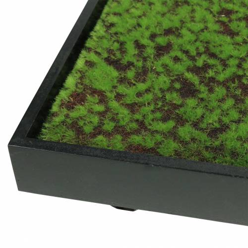 Artikel Väggmålning mossa i grön ram 60x30cm Väggdekoration av mossa
