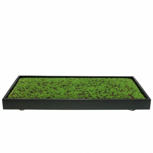 Artikel Väggmålning mossa i grön ram 60x30cm Väggdekoration av mossa