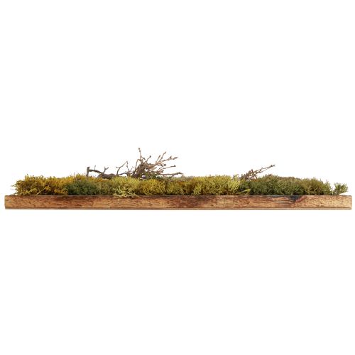 Artikel Mossabild bevarad äkta mossa och naturliga grenar 60×40cm