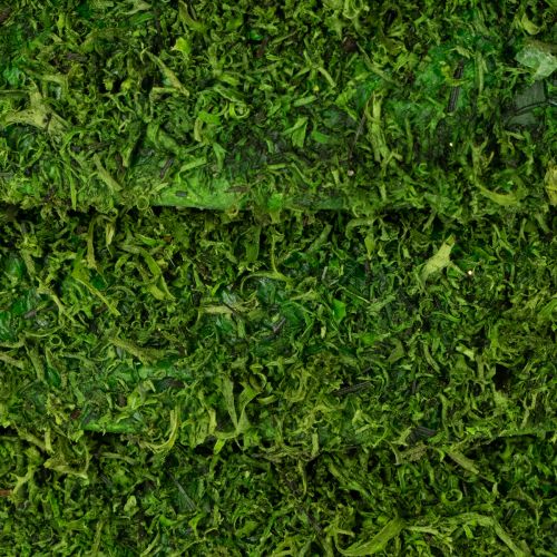 Artikel Dekorativ mosskrans för säsongsbetonade arrangemang och individuell design, 15 cm, 6 stycken