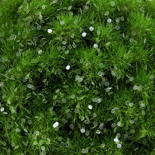 Floristik24 Moskula med glimmer Ø9cm grön