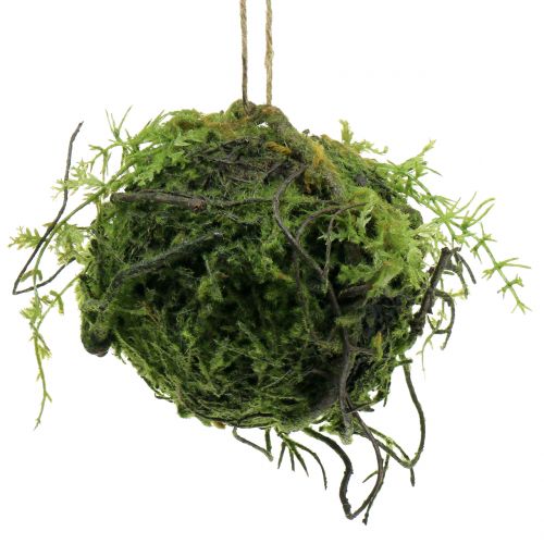 Floristik24 Mossboll Kokedama konstgrön Ø13cm