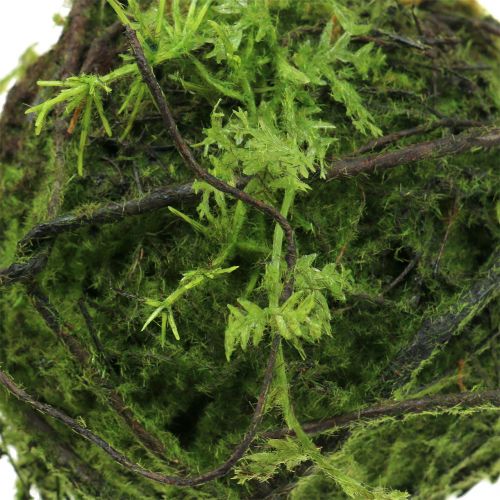 Floristik24 Mossboll Kokedama konstgrön Ø13cm