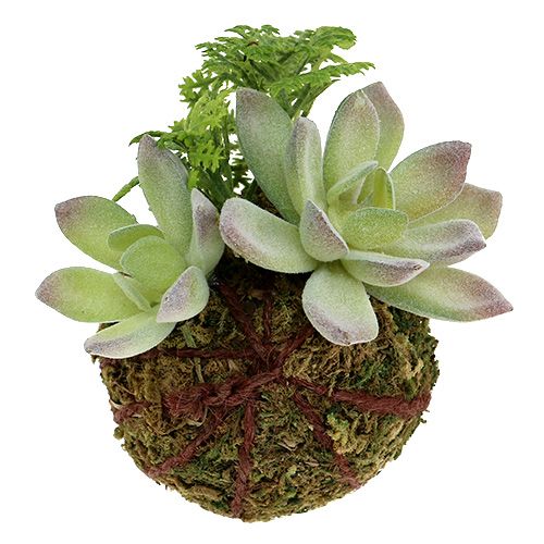 Floristik24 Kokedama Kunstgrön Ø8cm