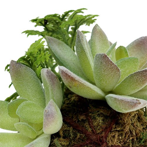 Floristik24 Kokedama Kunstgrön Ø8cm