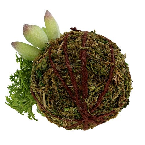 Floristik24 Kokedama Kunstgrön Ø8cm