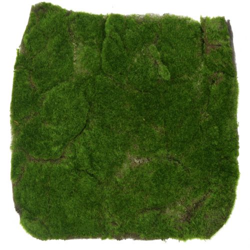 Artikel Moss Matt Grön 35cm x 35cm