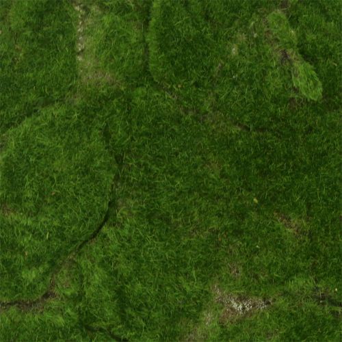 Floristik24 Moss Matt Grön 35cm x 35cm