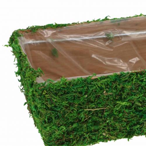 Floristik24 Planteringskruka Mossgrön 20×10cm H9cm