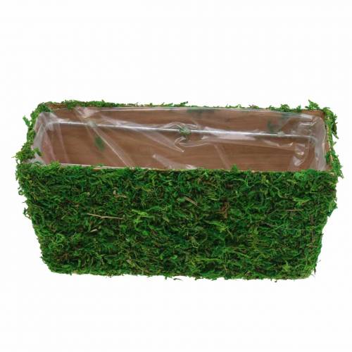 Floristik24 Planteringskruka Mossgrön 20×10cm H9cm