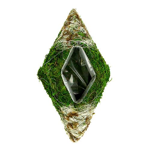 Floristik24 Moskudde rhombus 34cm x 19cm 2st