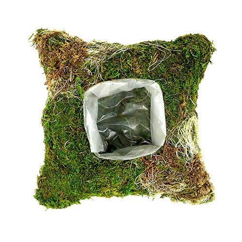 Moskudde för plantering av 20 cm x 20 cm 3 st