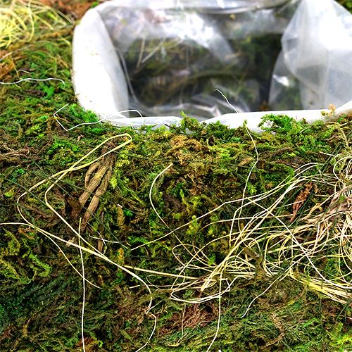 Floristik24 Moskudde för plantering av 20 cm x 20 cm 3 st