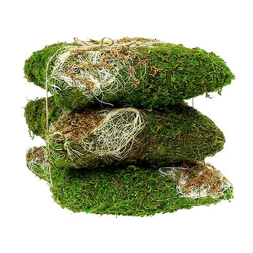 Floristik24 Moskudde för plantering av 20 cm x 20 cm 3 st