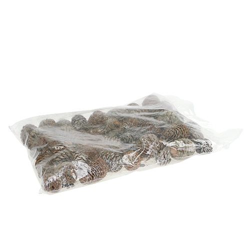 Floristik24 Murii kottar naturliga 500g