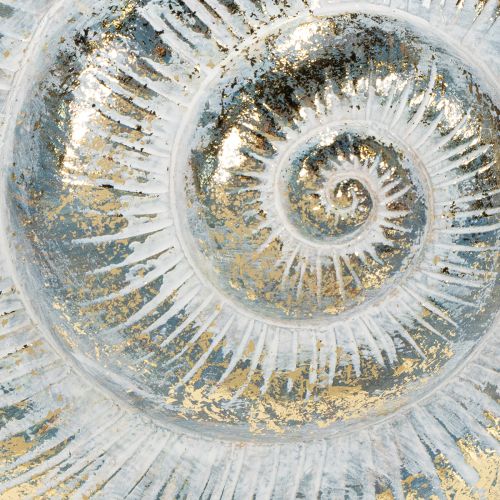 Artikel Dekorativ snigelformad behållare för maritim och naturlig väggdesign, grå, 21 cm