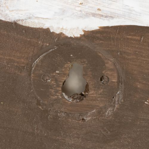 Artikel Dekorativ snigelformad behållare för maritim och naturlig väggdesign, grå, 21 cm