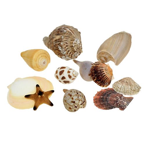 Shell mix i en låda naturligt 380g