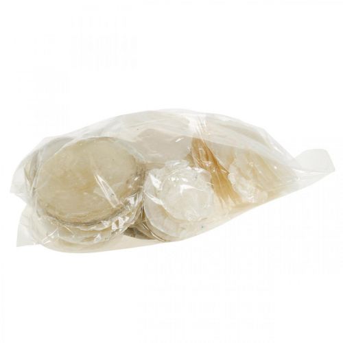 Artikel Stranddekoration, capiz-skal 5-10cm, naturföremål, pärlemor, maritimt 1 kg