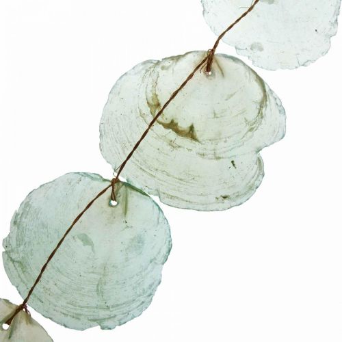 Floristik24 Skal Deco Capiz Garland Skal Garland Grön 100cm