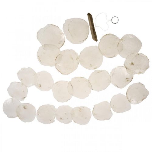 Floristik24 Shell Garland Pärlemor Shell Garland Capiz 195cm