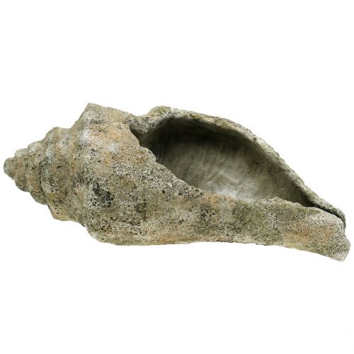 Floristik24 Skal för plantering L40cm