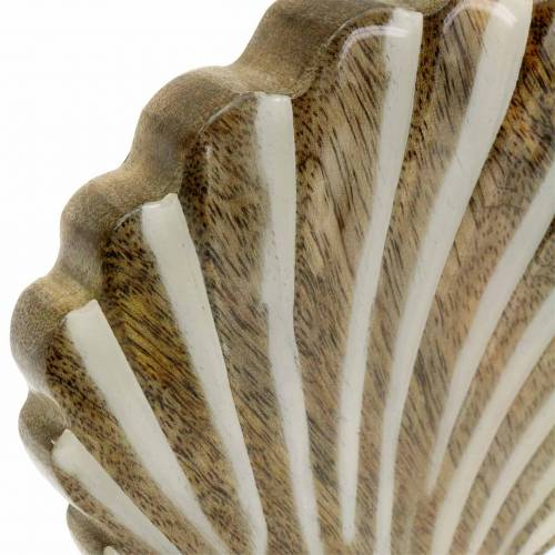 Floristik24 Skal med bas trä vit, natur 20 × 14cm Maritim dekoration till vardagsrummet