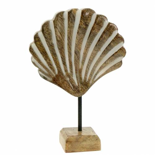 Floristik24 Skal med bas trä vit, natur 20 × 14cm Maritim dekoration till vardagsrummet
